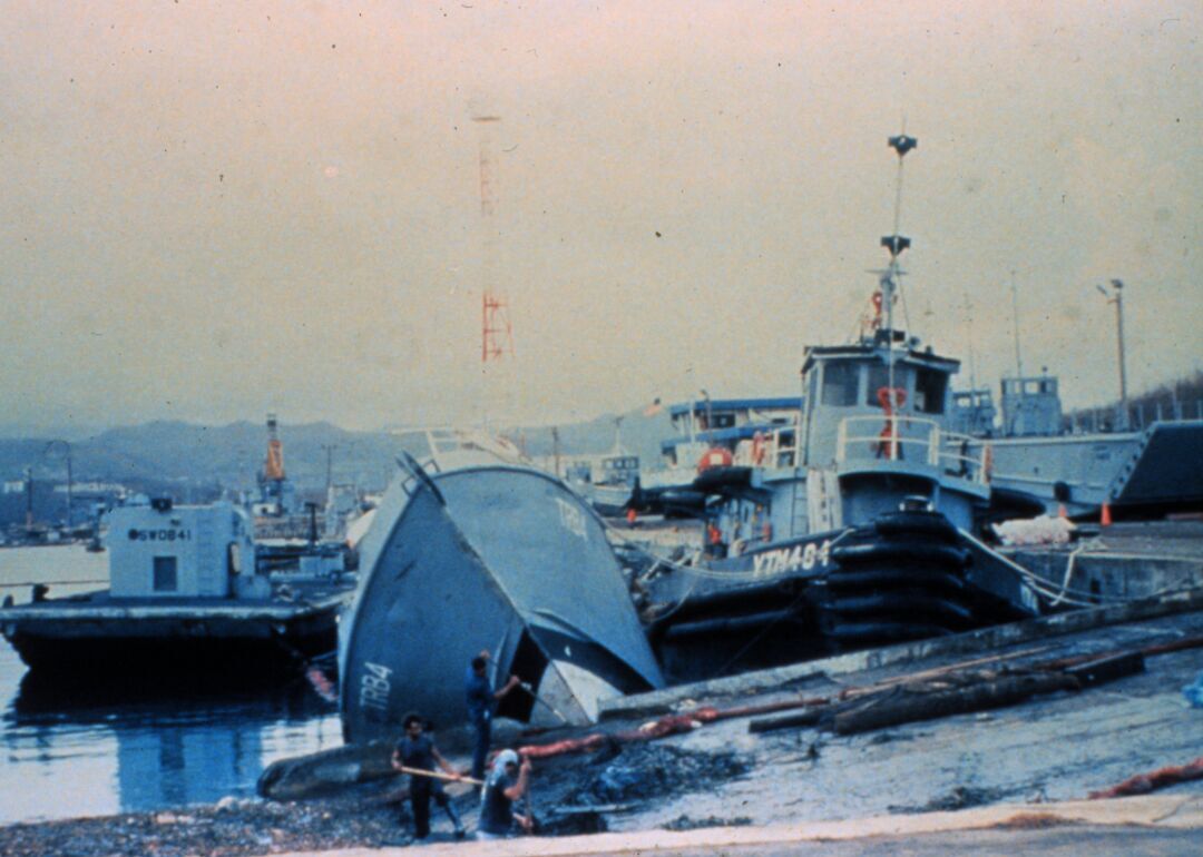 1989: Hurricane Hugo wipes out bananas